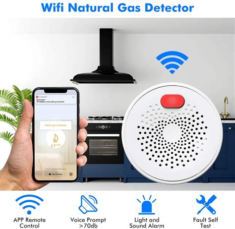 gas detectors for home use